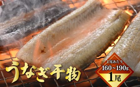 土用の丑の日 国産 うなぎ 干物 約160～190g × 1尾 鰻漁師が厳選！ 皮はパリッ！ 身はジューシー！ グリルで調理簡単 冷凍 【ウナギ 鰻 】 [m81-a001]