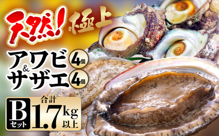 日本公式あわび3個〜4個　サザエ20〜25個　3キロ〜4キロ　瀬戸内海産 魚介