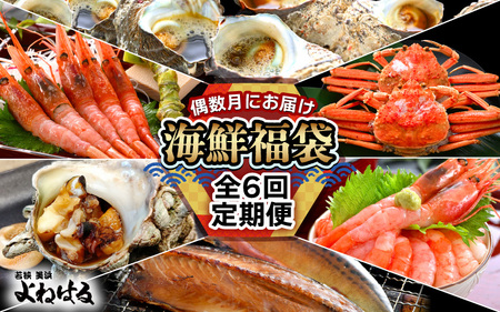 定期便 ≪年6回お届け≫ 海鮮定期便 偶数月にお届け 海鮮福袋  [m17-g009]