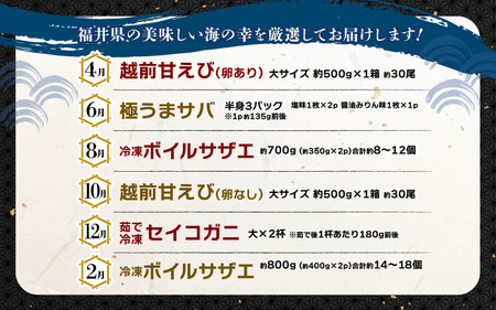 定期便 ≪年6回お届け≫ 海鮮定期便 偶数月にお届け 海鮮福袋  [m17-g009]