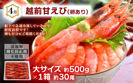 定期便 ≪年6回お届け≫ 海鮮定期便 偶数月にお届け 海鮮福袋  [m17-g009]