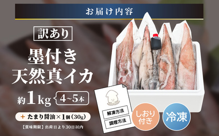 訳あり【数量限定】新鮮・朝獲れ 墨付き 天然 真イカ (剣先イカ） 丸ごと 約1kg たまり醤油と刺身専用しおり付き 訳あり わけあり ワケアリ 規格外 [m21-a035]