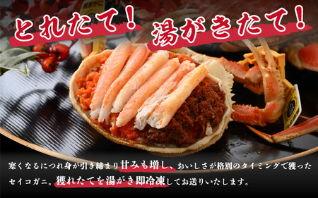 【訳あり】【数量限定！】 全て地物！ 天然！ セイコガニ中（140g～）3杯セット（冷凍）食べ方説明書付き 【カニ かに 蟹 せいこがに 越前セイコガニ ずわいがに ズワイガニ ボイルガニ ボイル わけあり 足折れ 国産 県産 生産者支援 規格外】セイコガニ せいこがに セコガニ セイコ蟹 [m21-a033]