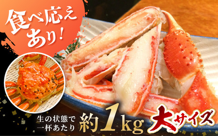 【先行予約】 越前がに 大サイズ (茹で前約1kg) × 1杯 【2026年3月上旬以降順次発送予定】浜茹で 越前がに [m17-x001_03]