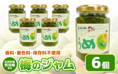 【福井県産】梅を使った 梅ジャム× 6個セット 着色料・保存料不使用！ [m03-a047]