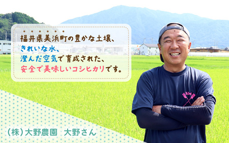 【先行予約】【令和7年産・新米】コシヒカリ 5kg 福井県美浜町 ふくいでがんばる生産者 大野農園が育てた こしひかり 【2025年10月上旬以降順次発送予定】 [m49-a003]