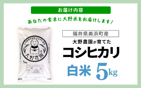 【先行予約】【令和7年産・新米】コシヒカリ 5kg 福井県美浜町 ふくいでがんばる生産者 大野農園が育てた こしひかり 【2025年10月上旬以降順次発送予定】 [m49-a003]