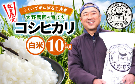 【先行予約】【令和7年産・新米】 コシヒカリ 10kg 福井県美浜町 ふくいでがんばる生産者 大野農園が育てた こしひかり 【2025年10月上旬以降順次発送予定】 [m49-a004]