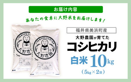 【先行予約】【令和7年産・新米】 コシヒカリ 10kg 福井県美浜町 ふくいでがんばる生産者 大野農園が育てた こしひかり 【2025年10月上旬以降順次発送予定】 [m49-a004]