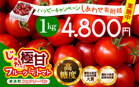 じゅわっと極甘のフルーツミディトマト 約1kg (バラ箱詰め) 幸せ寄附額 ハッピーキャンペーン 開催中【とまと トマト フルーツトマト ミディトマト ミニトマト トマトジュース 野菜 やさい 人気 新鮮 産地直送 甘い 高糖度 食べやすい リコピン ビタミン ダイエット 美容 美肌 】 [m37-a012]