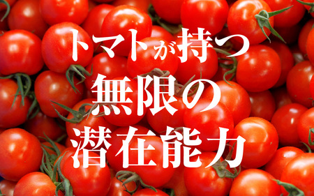 じゅわっと極甘のフルーツミディトマト 約1kg (バラ箱詰め) 幸せ寄附額 ハッピーキャンペーン 開催中【とまと トマト フルーツトマト ミディトマト ミニトマト トマトジュース 野菜 やさい 人気 新鮮 産地直送 甘い 高糖度 食べやすい リコピン ビタミン ダイエット 美容 美肌 】 [m37-a012]