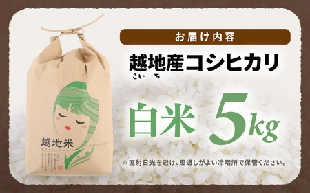 【令和6年 新米】越地 (こいち) 産 コシヒカリ (白米) 計5kg [m24-a008]