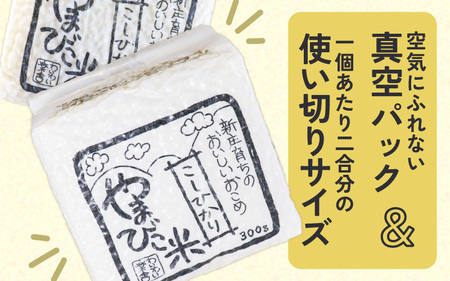 米 令和7年産 キューブ米 コシヒカリ 2合 × 3個 計900g 真空パック 新庄やまびこ米（白米）【化粧箱入り ギフト プレゼント 母の日 父の日 お中元 お歳暮 BBQ 災害 対策 】 [m23-a009]
