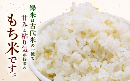 令和7年産 緑米（古代米）1kg [m25-a002]