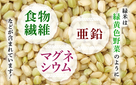 令和7年産 緑米（古代米）1kg [m25-a002]