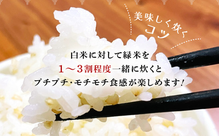 令和7年産 緑米（古代米）1kg [m25-a002]