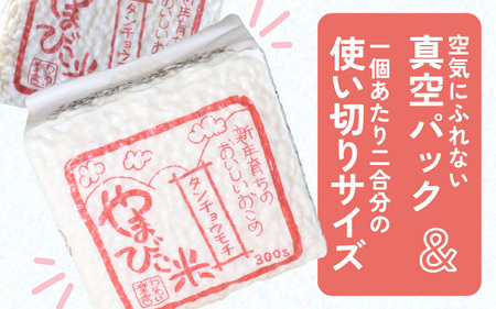 もち米 令和7年産 キューブ米 タンチョウモチ 2合 × 3個 計900g 真空パック 新庄やまびこ米（白米） [m23-a010]