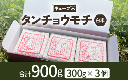 もち米 令和7年産 キューブ米 タンチョウモチ 2合 × 3個 計900g 真空パック 新庄やまびこ米（白米） [m23-a010]