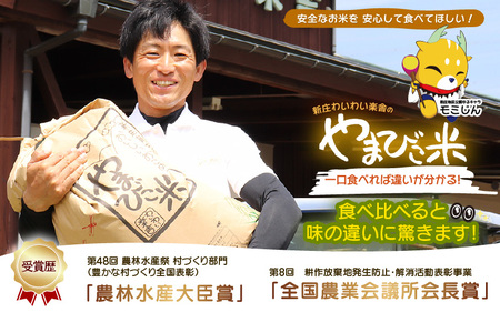 定期便 ≪6ヶ月連続お届け≫ 米 令和6年産 コシヒカリ 新庄やまびこ米（白米）5kg × 6回 計30kg [m23-f001]