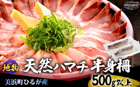【天然！地物！ひるがのハマチ 柵2本【合計500g以上】はまち ハマチ ぶり ブリ 鰤 出世魚 しゃぶしゃぶ 照り焼き 塩焼き 煮付け 生食 刺身 海鮮丼 日向 福井 美浜 海鮮 冷凍 旬 プレゼント [m36-a029]