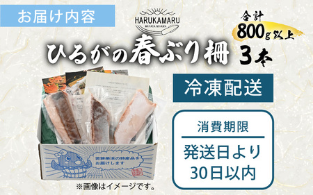 【先行予約】天然！地物！ひるがの春ぶり 柵3本【合計800g以上】【2026年5月下旬以降順次発送予定】 ブリ 鰤 [m36-b012]