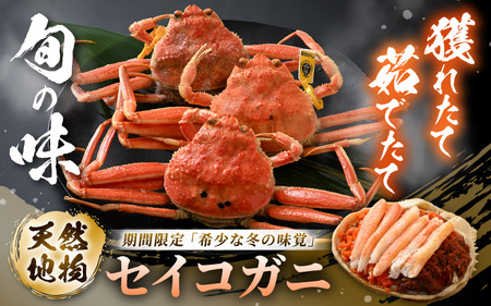 【冷蔵】旬のセイコガニ 中 6杯  計840g以上（茹で前）説明書付き 全て地物！ 天然！ ズワイガニメス [m21-x005_12]