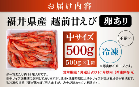 天然！越前甘えび(卵あり)中サイズ 500g × 1箱(約35尾入り)【不揃い】訳あり 数量限定 解凍方法説明書付き 船内凍結 酸化防止剤不使用！甘エビ本来の味をお楽しみください えび エビ 海老 甘エビ 甘えび 人気 海鮮 [m17-a061]