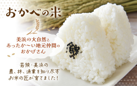 【先行予約】令和8年産 愛情たっぷり健やかに育った ピカピカ もちもち あきさかり（白米）5kg【2026年10月上旬以降順次発送予定】白米 あきさかり  [m29-a022] 