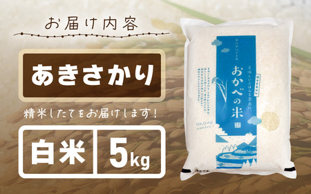 【先行予約】令和8年産 愛情たっぷり健やかに育った ピカピカ もちもち あきさかり（白米）5kg【2026年10月上旬以降順次発送予定】白米 あきさかり  [m29-a022] 