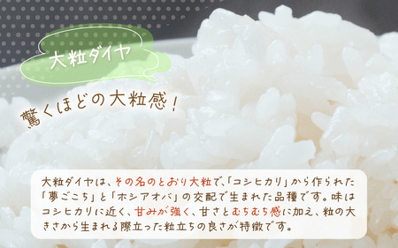 令和6年産 愛情たっぷり健やかに育った 大粒ダイヤ（白米）5kg [m29-a009]