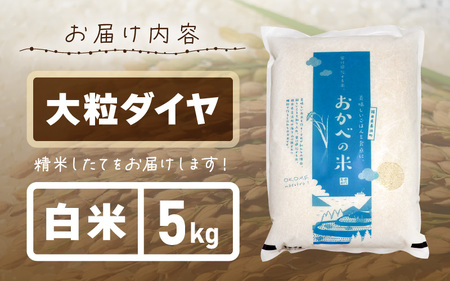 令和6年産 愛情たっぷり健やかに育った 大粒ダイヤ（白米）5kg [m29-a009]