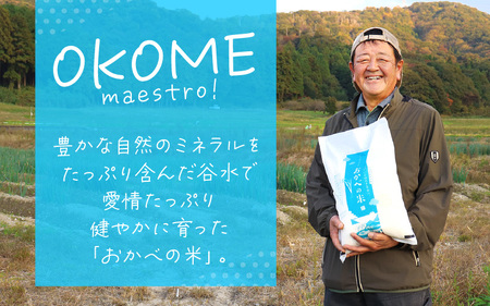 令和6年産 愛情たっぷり健やかに育った 大粒ダイヤ（白米）10kg [m29-a010]