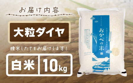 令和6年産 愛情たっぷり健やかに育った 大粒ダイヤ（白米）10kg [m29-a010]