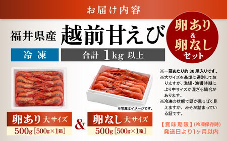 天然！越前甘エビ 約1kg【大サイズ 卵あり&卵なし】セット [m17-c016]