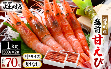 大好評!よねはるお薦めの越前甘えび (卵なし) 中サイズ 計約1kg (約500g × 2箱)でお届けします!【 えび エビ 海老 甘エビ 甘えび 海鮮 お刺身 魚介 おせち 無添加 冷凍 福井県産】 [m17-b011]