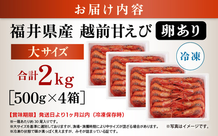 大好評！天然 越前甘エビ（卵あり）大サイズ計2kg（500g × 4箱）（合計約120尾入り）解凍方法説明書付き 船内凍結 酸化防止剤不使用 甘エビ本来の味をお楽しみください【 えび エビ 海老 甘エビ 甘えび 海鮮 お刺身 魚介 おせち 無添加 冷凍 】 [m17-e006]