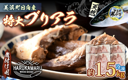 【先行予約】天然 ぶり 特大 ブリアラ（煮付け用）合計 約1.5kg 美浜町日向産【2026年5月下旬以降順次発送予定】【ぶつ切り 切身 塩焼き 骨付き ブリ大根 煮物 アラ】 [m36-a019]