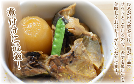 【先行予約】天然 ぶり 特大 ブリアラ（煮付け用）合計 約1.5kg 美浜町日向産【2026年5月下旬以降順次発送予定】【ぶつ切り 切身 塩焼き 骨付き ブリ大根 煮物 アラ】 [m36-a019]