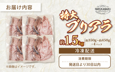 【先行予約】天然 ぶり 特大 ブリアラ（煮付け用）合計 約1.5kg 美浜町日向産【2026年5月下旬以降順次発送予定】【ぶつ切り 切身 塩焼き 骨付き ブリ大根 煮物 アラ】 [m36-a019]