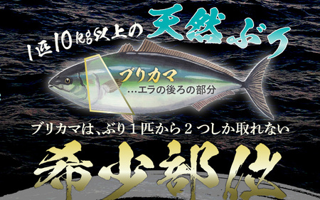 【先行予約】天然 ぶり 特大 ブリカマ (塩焼き用) 約1kg (約500g × 2パック)【2025年12月中旬以降順次発送予定】 美浜町日向産【希少 切身 かま 肉厚 コラーゲン 塩焼き 魚介類 魚貝類 新鮮 冷凍 凍眠】[m36-a016]