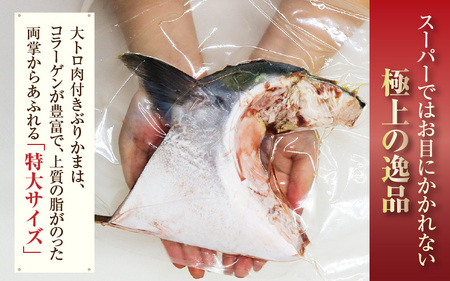 【先行予約】天然 ぶり 特大 ブリカマ (塩焼き用) 約1kg (約500g × 2パック)【2025年12月中旬以降順次発送予定】 美浜町日向産【希少 切身 かま 肉厚 コラーゲン 塩焼き 魚介類 魚貝類 新鮮 冷凍 凍眠】[m36-a016]