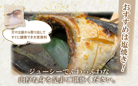 【先行予約】天然 ぶり 特大 ブリカマ (塩焼き用) 約1kg (約500g × 2パック)【2025年12月中旬以降順次発送予定】 美浜町日向産【希少 切身 かま 肉厚 コラーゲン 塩焼き 魚介類 魚貝類 新鮮 冷凍 凍眠】[m36-a016]