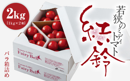 フルーツミディトマト 2kg（1kg×2箱） トマト 野菜  [m37-a017_00]