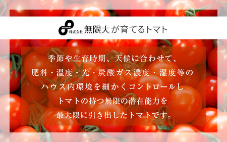 定期便 ≪9ヶ月連続お届け≫ フルーツミディトマト 約1kg × 9回 トマト 野菜  [m37-d002]