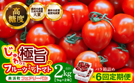 定期便 ≪6ヶ月連続お届け≫ フルーツミディトマト 約2kg(1kg×2箱）× 6回 トマト 野菜 [m37-f002]