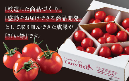 定期便 ≪6ヶ月連続お届け≫ フルーツミディトマト 約2kg(1kg×2箱）× 6回 トマト 野菜 [m37-f002]