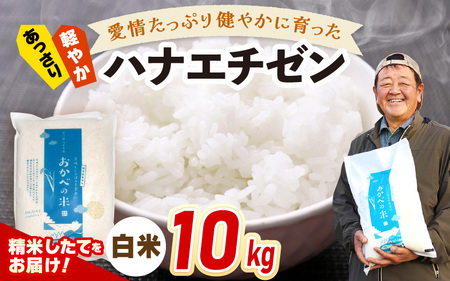 【先行予約】令和8年産 愛情たっぷり健やかに育った ツヤツヤ ハナエチゼン（白米）10kg【2026年9月上旬以降順次発送予定】 [m29-a025]