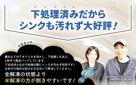 ≪-60℃で急速冷凍≫若狭アオリイカ 刺身用2～3枚（合計180g）下処理済みだからシンクも汚れず大好評！【福井 地物 海鮮 刺身 あおりいか イカ丼 海鮮丼 魚介】[m17-a073]