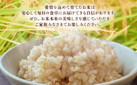 【先行予約】米 令和7年産 あきさかり 30kg（玄米）【2025年10月上旬以降順次発送予定】 [m76-d002]