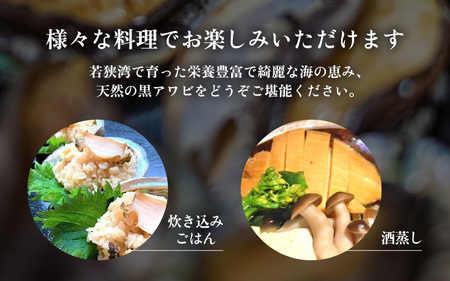 黒あわび 約700g（2～3個）【加熱用】冷凍  天然 黒あわび  [m17-f003]